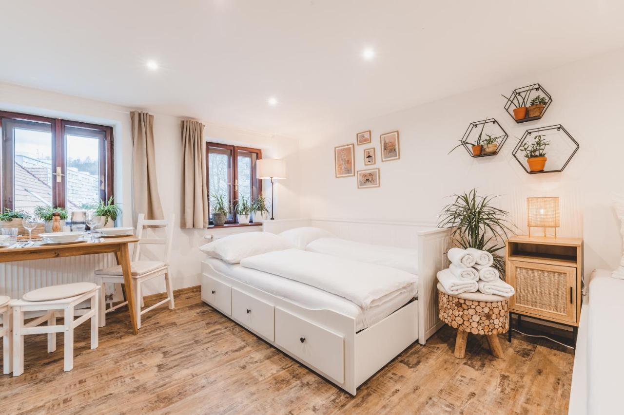 Konekt Apartment Český Krumlov Dış mekan fotoğraf
